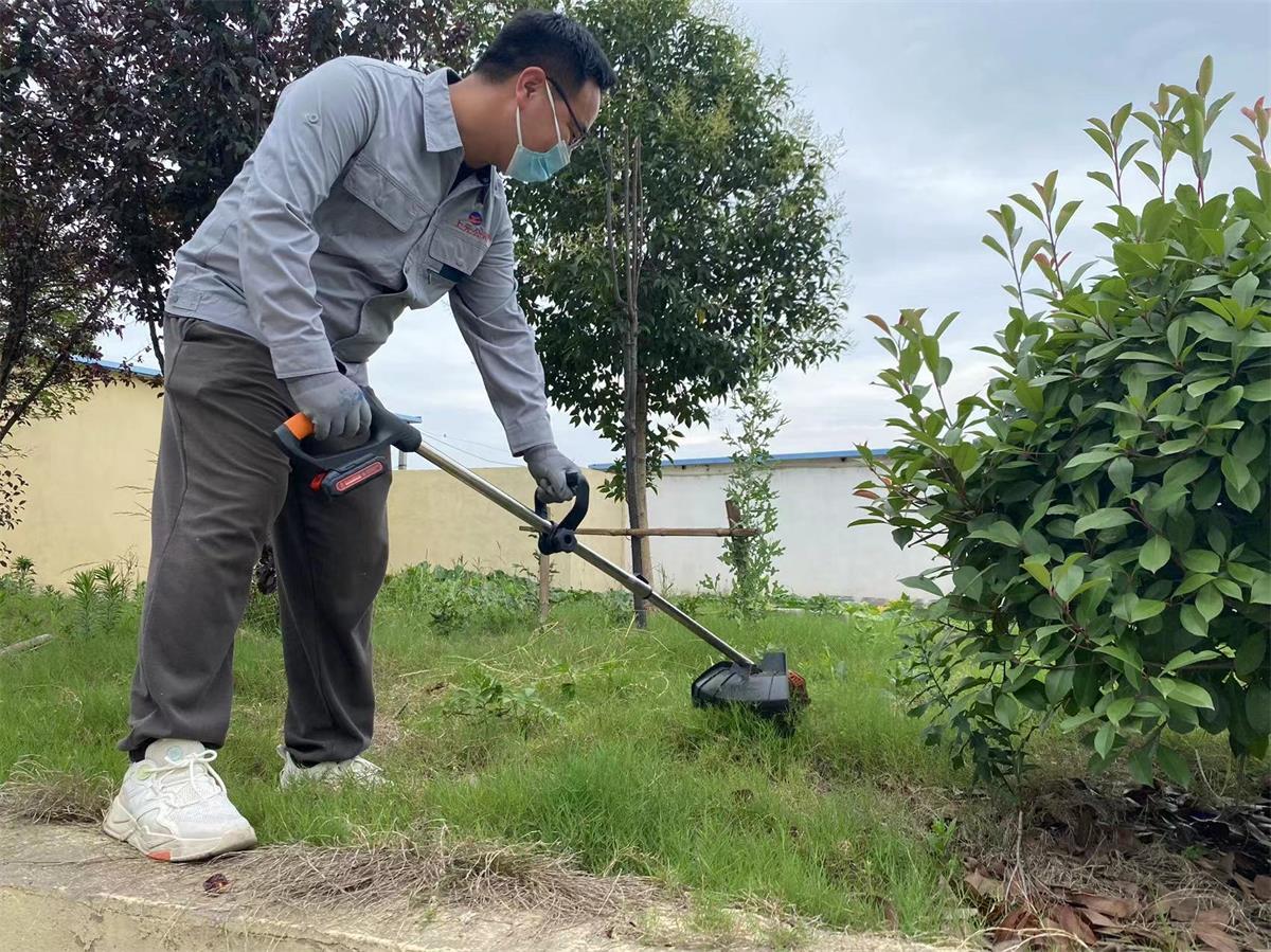 上元除草.jpg